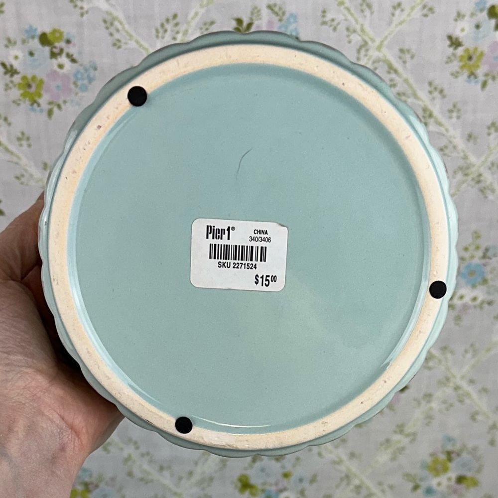 Discontinued Pier 1 Striped Robins Egg Blue White & Tan Bird Trinket/Candy Dish - Picture 5 of 8